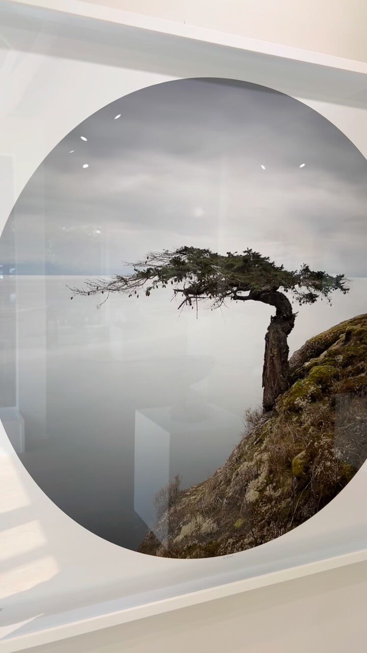 Instagram post from wilsonandcogallery. This post is in position 2.